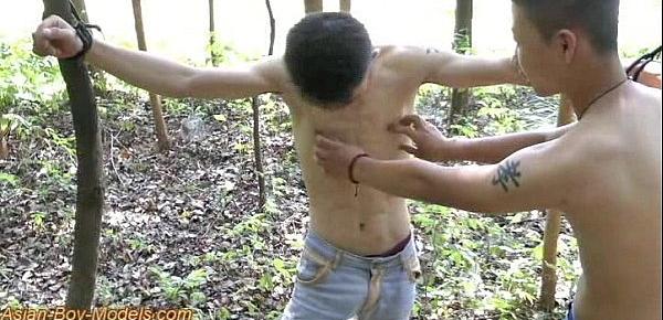  Cute Asian Boy Bound In The Wood